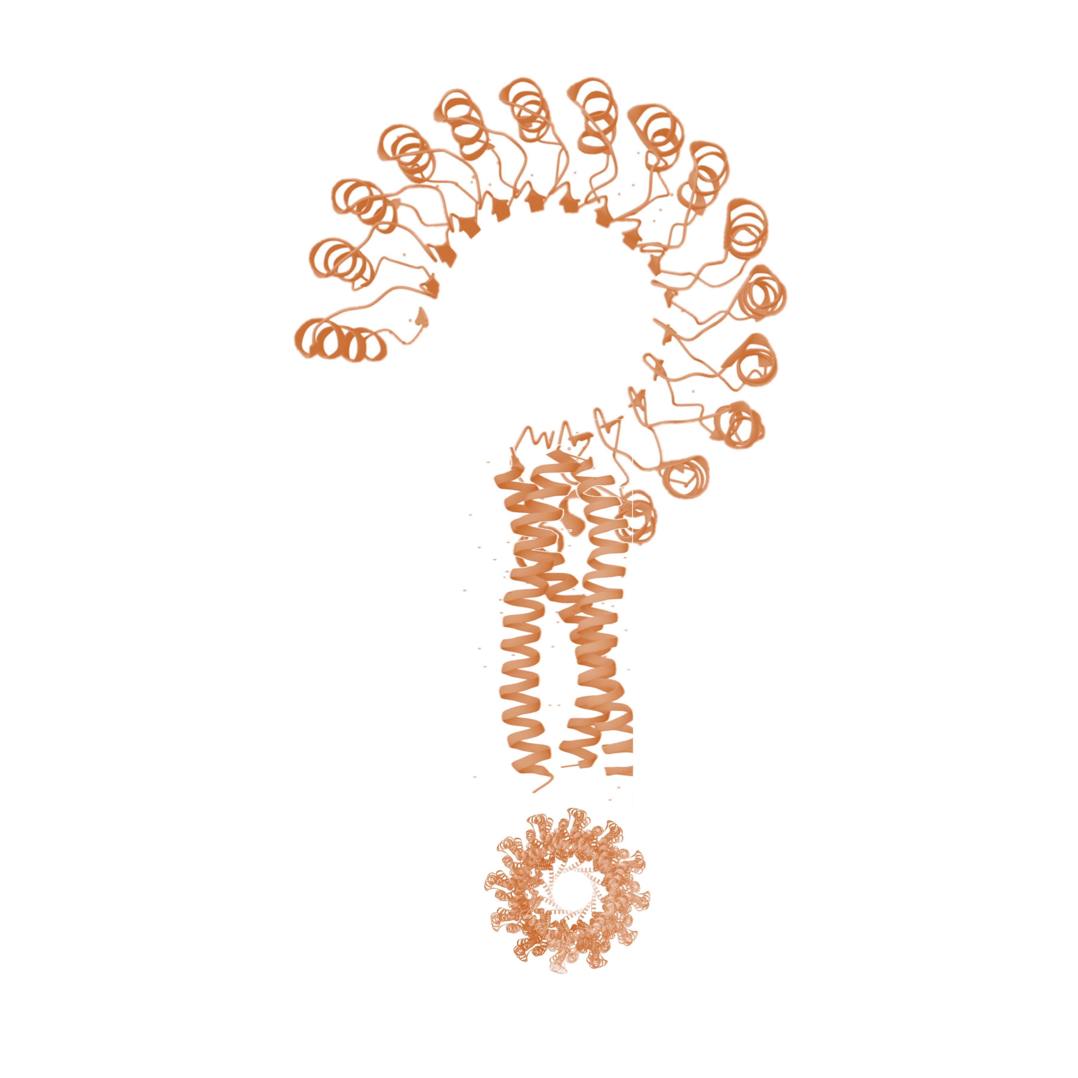 FAQ Illustration