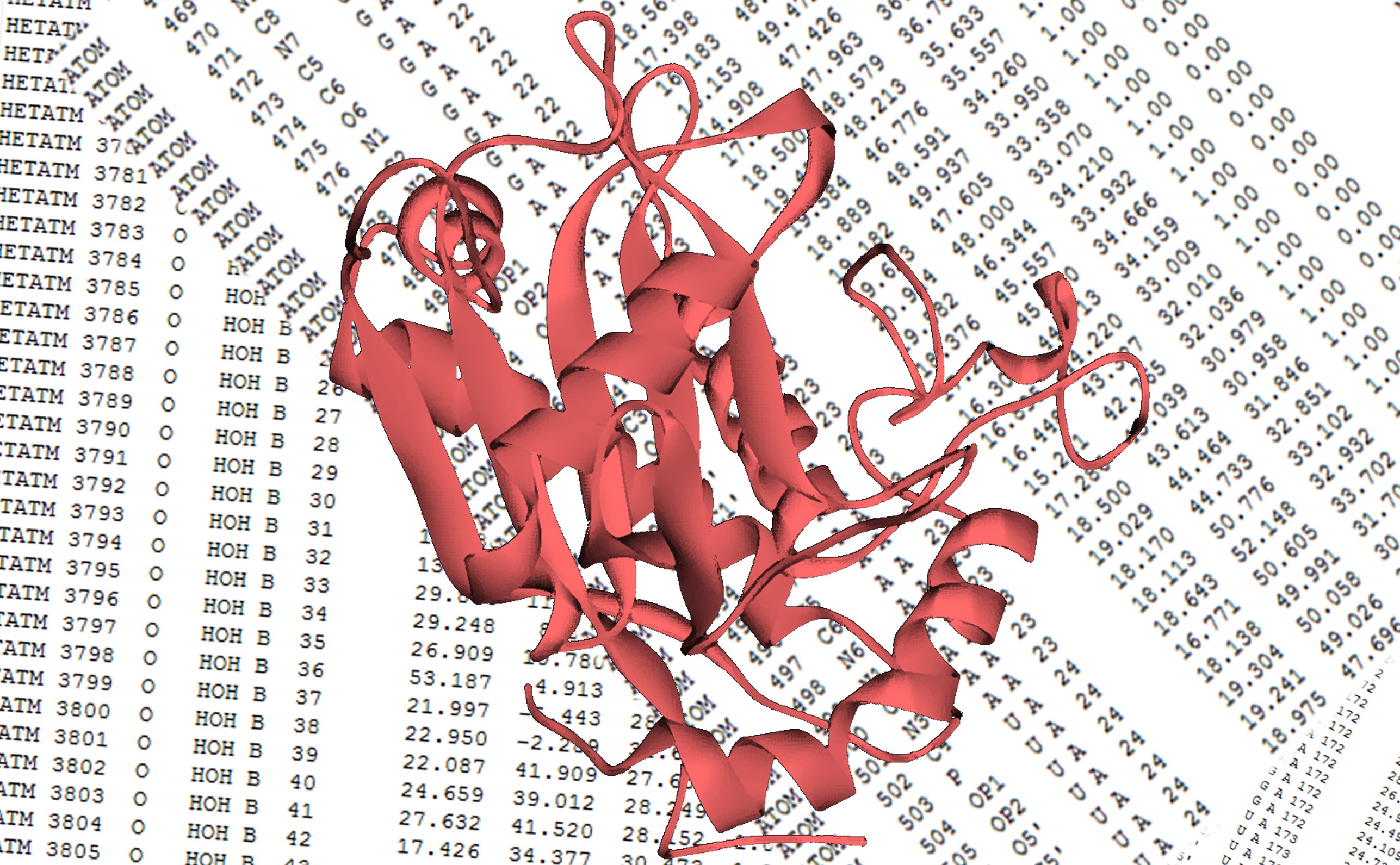 3D Molecular Viewer